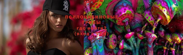 героин Рославль