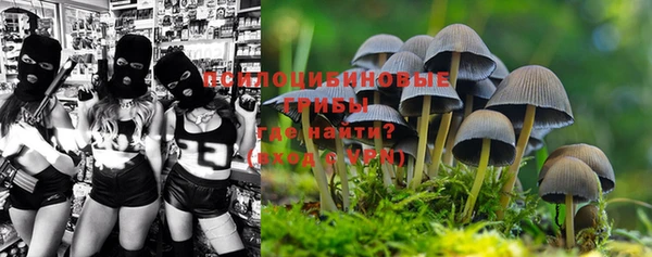 mdma Россошь