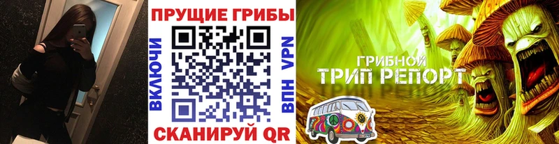 Псилоцибиновые грибы мицелий  Тарко-Сале 